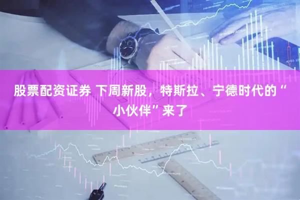 股票配资证券 下周新股，特斯拉、宁德时代的“小伙伴”来了