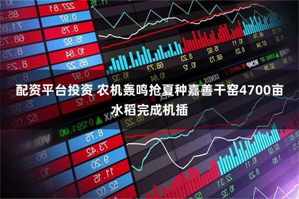 配资平台投资 农机轰鸣抢夏种嘉善干窑4700亩水稻完成机插
